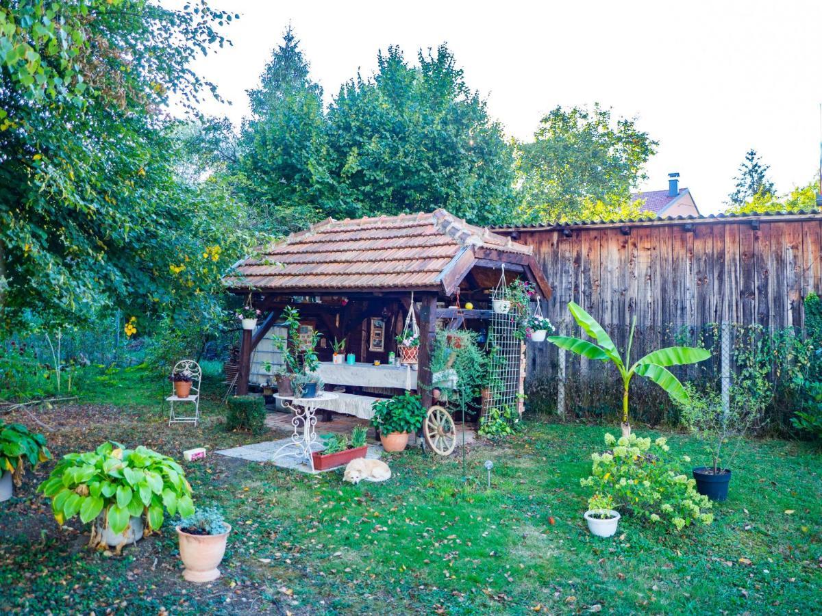 Apartment Dubovac Карловаць Екстер'єр фото
